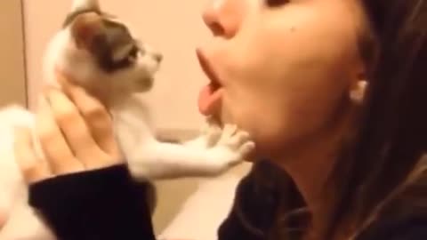 funny ca tCute and Funny Cat Video
