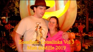Matt deMille: Lotsalinks V3