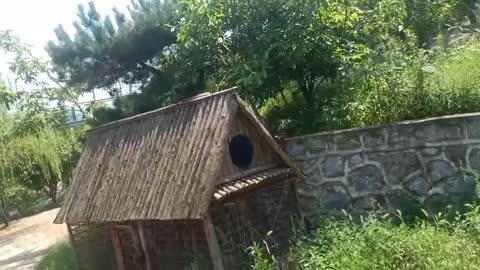 small house for animals