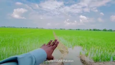 pakistani farmer made personal mini dam for irrigation