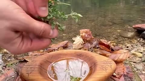 Cooking Salmon and trout with a primitive method