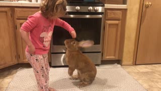 Giant Rabbit and Little Girl are Best Buds
