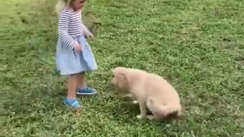 World's Cute Dog's. Baby Dog's. Dogs Playing