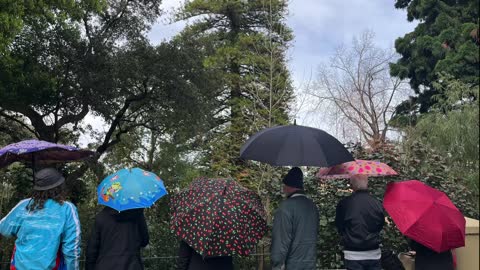 The Umbrella People at Government House - Thursday 8th September 2022 👨‍👩‍👧‍👦⛱👨‍👩‍👧‍👦☂️👨‍👩‍👧‍👦☔️