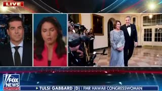 Tulsi blasts Dems for insider trading loophole they've created for themselves