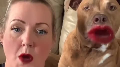 Dog singing with its owner