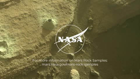 Meet the Mars samples