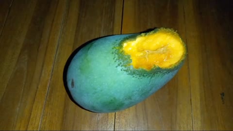 Ini mangga