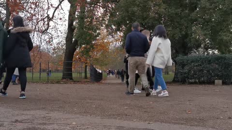 video people strolling in apart