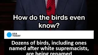 Scientists Rename Birds to Fight Racism