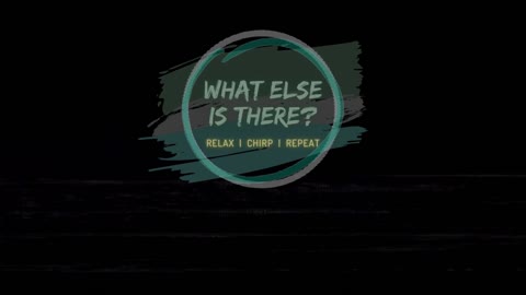 What Else Is There? | RELAX | CHIRP | REPEAT