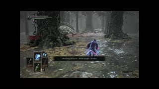 Dark souls 3, Invading in the woods