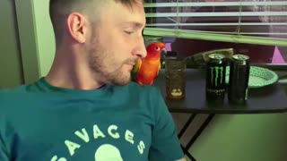 Parrot kisses and beatboxes with his dad to the same beat