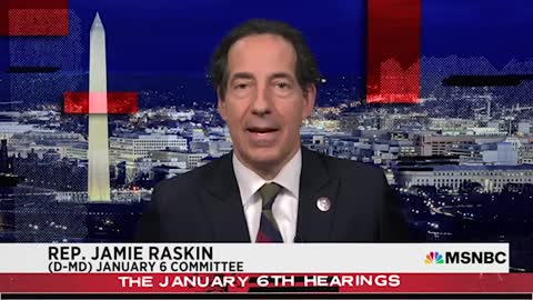Jamie raskin issues brutal need for Donald Trump live on air