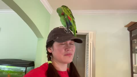 PARROT RESCUE TRANSFORMATION STORY