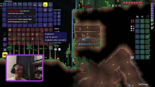 Terraria with Plagueofkitties Part 2