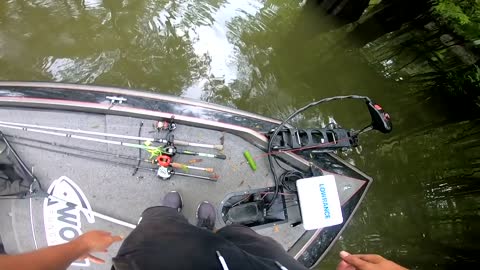 Tournament Fishing GONE WRONG - CRASHED BOAT IN TREES