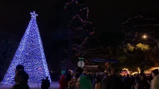 2023 Winterhaven Festival of Lights