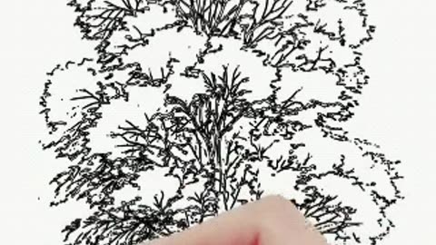 🤩🌳 lovely Tree drawing