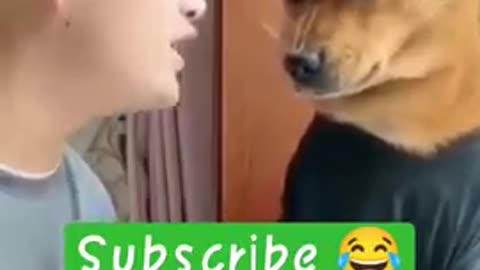 angry_dog, angry animal, short video