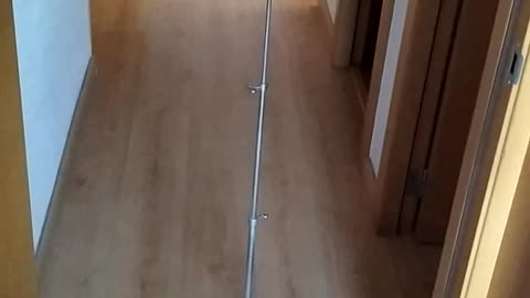 Robot Vacuum Carries Conductor's Stand