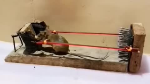 مصيدة فئران mousetrap
