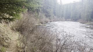 Shoreline Hiking Along West Metolius River Trail – Central Oregon – 4K