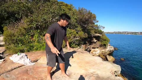 6.5 Meter Døds Watson Bay sydney Australia