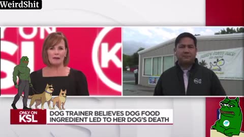 📛ATTENTION DOG OWNERS 📛FDA APPROVED COPPER IN DOG FOOD CAN KILL YOUR DOG