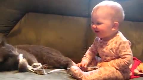 Kitten and baby playing together compilation (2022)