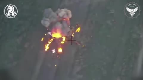 Russian 2S3 'Akatsiya' self propelled howitzer destroyed