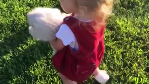 Baby and Cat Fun and Cute - Funny Baby Video