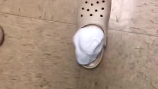 Stepping Into A Shaving Cream Filled "Croc" Shoe