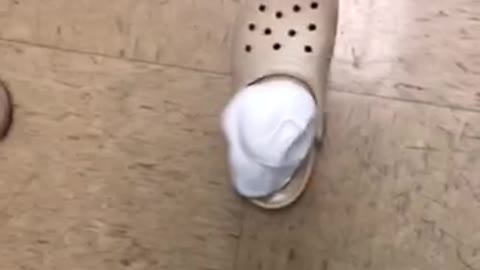 Stepping Into A Shaving Cream Filled "Croc" Shoe