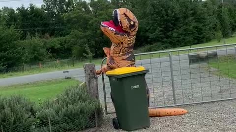Taking out the Trash in a T-Rex Costume