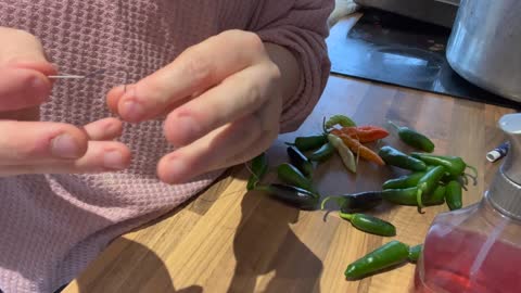 This is how I store my chillis: Allotment Garden