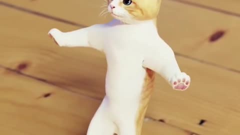 Funny Cat Dance Video | Funny Animal Video | Cat video #cute #cat #funny #video #short