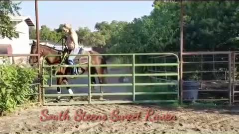 South Steens Sweet Raven - 2018 Wild Spayed Filly Futurity