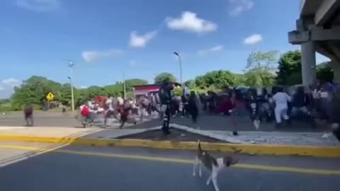 Apocalyptic scenes as illegal immigrant mob smash through police lines in Mexico!
