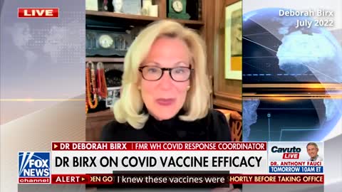 Deborah Birx on vaccines: 2020 vs 2022