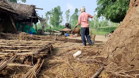 How Do Poor People Lead Their Lives In The Villages Of UP | Daily Routine In India #UttarPradesh