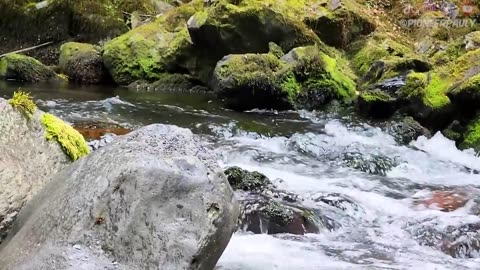 HOOKAH DIVING FOR GOLD NUGGETS IN NEW ZEALAND!