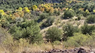 Mountain View in Arizona