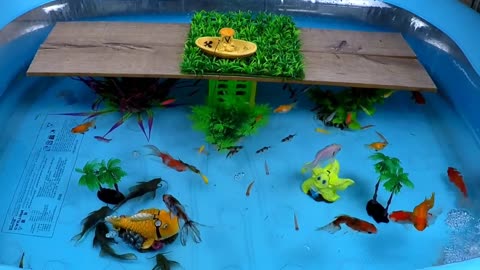 Collection of Cute Animals, Red-eared Turtle, Catfish, King Crab, Goldfish, Spotted Snake, Spider