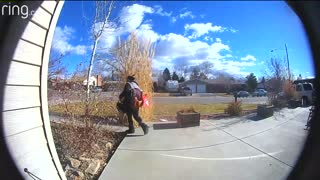 Homeowner Chases Down Porch Pirate And Caught It On Camera!