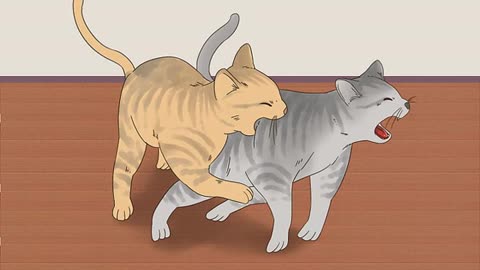 Are your Cats Playing or Fighting? Watch this video to know it.