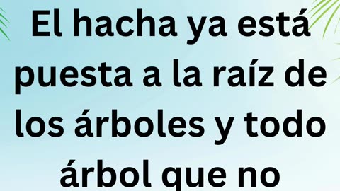 "El Juicio Inminente: El Hacha ya está puesta a la raíz de los árboles" MATEO 3:10.