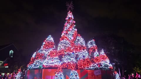 Christmas Lightshow at ZooTampa