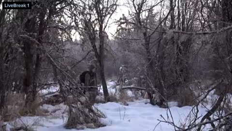 Winter_camping_-_minimal_gear_and_a_natural_shelter#viral #trending #rumblevideo