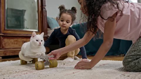 Super Smart Cat! Takes Out Treats by Itself!